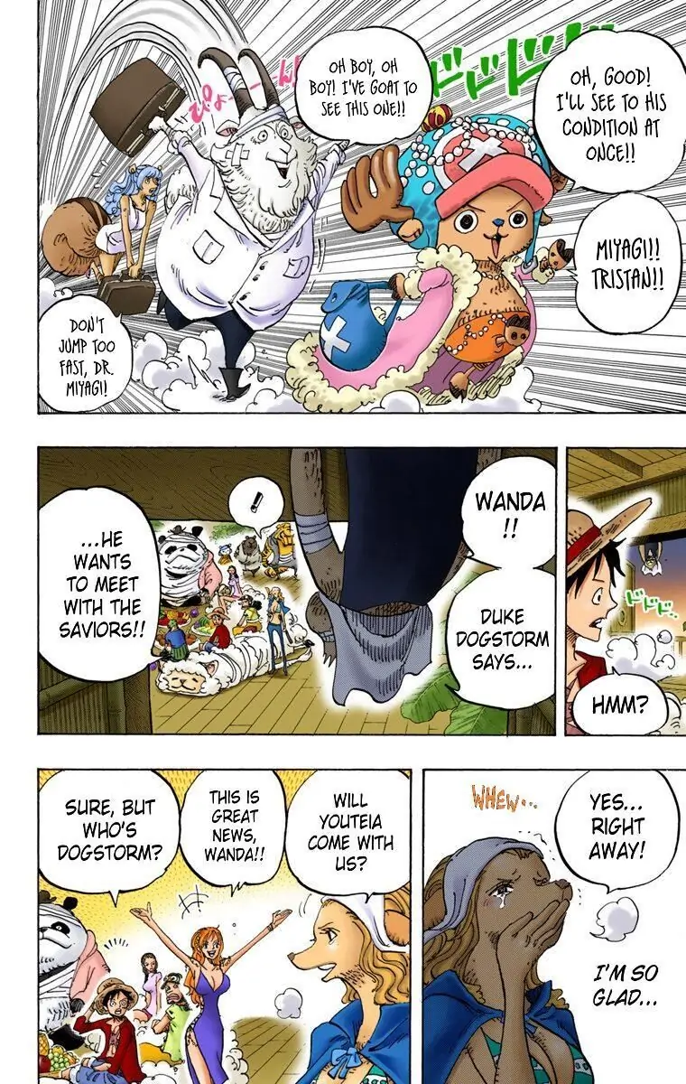 One Piece Digital Colored Chapter 807 image 19